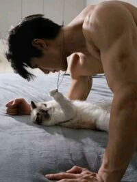 Ảnh bìa của Mèo Cưng Của Yêu Xà