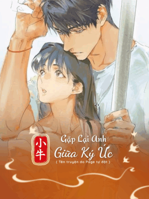 Ảnh bìa của Gặp Lại Anh Giữa Ký Ức