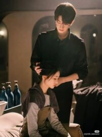 Ảnh bìa của Tình Yêu Không Hồi Đáp