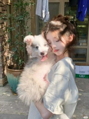 Ảnh bìa của Thiên Kim Bị Ruồng Bỏ Và Hệ Thống Chó Điên!