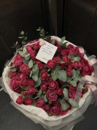 Ảnh bìa của Sỉ Nhục Phản Diện