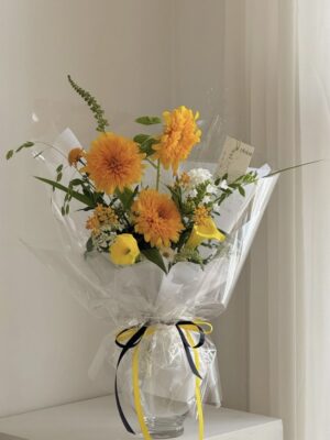 Ảnh bìa của Tô Đường