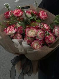 Ảnh bìa của Cá Cược Học Đường