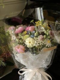 Ảnh bìa của Không Cảm Giác