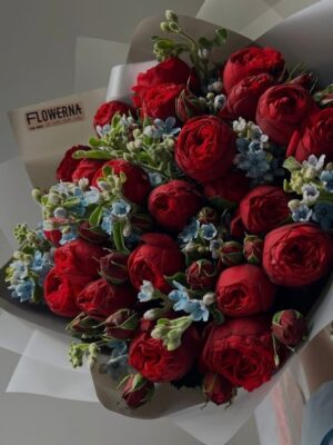 Ảnh bìa của Chưa Từng Được Yêu Thương