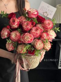 Ảnh bìa của Chúng Ta Chỉ Là Bạn