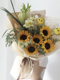 Ảnh bìa của Vì Sao Xanh