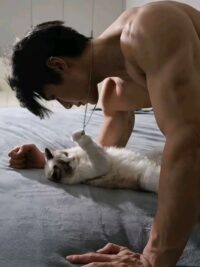 Ảnh bìa của Tổng Tài Anh Là Kẻ Nhát Gan