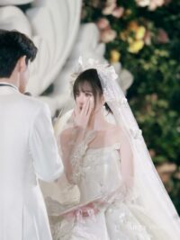 Ảnh bìa của Dưới Ánh Dương Tàn