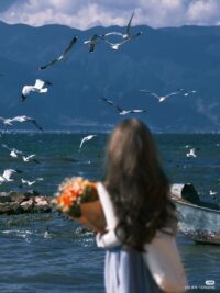 Ảnh bìa của Ánh Sáng Không Chạm Tới