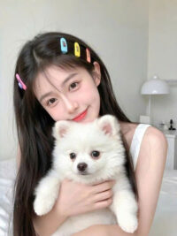 Ảnh bìa của Công Chúa Thất Lạc Của Nhà Họ Tống