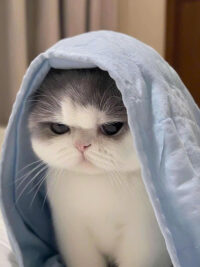 Ảnh bìa của Một Bước Sai, Cả Nhà Đi Tour