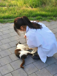 Ảnh bìa của Chính Thất Trở Về