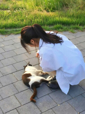 Ảnh bìa của Chính Thất Trở Về