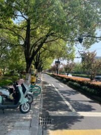 Ảnh bìa của Để Bà Gỡ Lại Cho Cháu