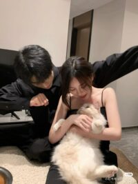 Ảnh bìa của Đến Nhà Nyc Để Trộm Chó