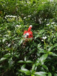 Ảnh bìa của Tái Phùng Xuân