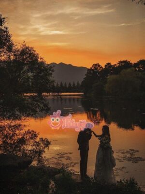 Ảnh bìa của Bình Hoa Biết Yêu