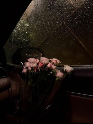 Ảnh bìa của Người Anh Trai Đã Thay Đổi