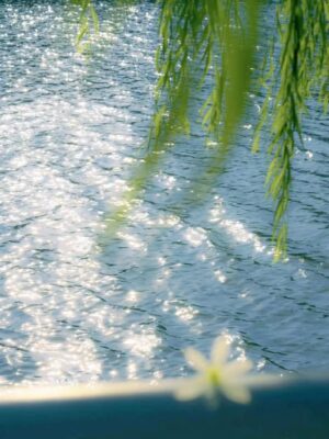 Ảnh bìa của Dòng Nước Tái Sinh