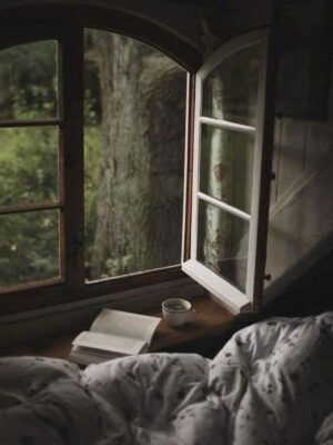 Ảnh bìa của Vòng Quay Số Phận