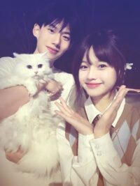 Ảnh bìa của Xem Mắt Bạn Cùng Phòng Nyc