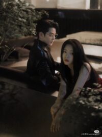 Ảnh bìa của Chim Hoàng Yến Cũng Phải Khôn Ngoan