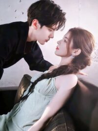 Ảnh bìa của Chỉ Giả Ngốc Với Mình Em