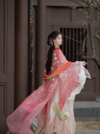 Ảnh bìa của An Ý