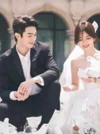 Ảnh bìa của Sếp Siêu Bám Người