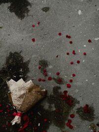 Ảnh bìa của Con Rối Danh Vọng