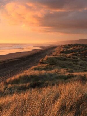 Ảnh bìa của Nước Mắt Sinh Nhật