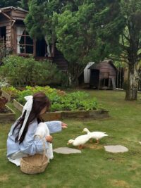 Ảnh bìa của Từng Bước Ra Đi