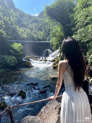 Ảnh bìa của Tôi Là Một Bà Nội Trợ