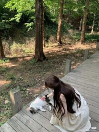 Ảnh bìa của Hứa Nhiên