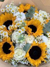 Ảnh bìa của Người Cá Lạnh Lùng Full