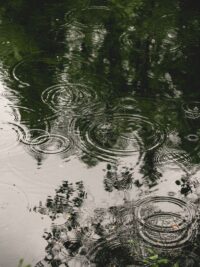 Ảnh bìa của Bóng Tối Và Ánh Sáng