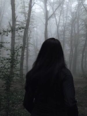 Ảnh bìa của Tiếng Gọi Của Con