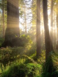 Ảnh bìa của Ánh Sáng Cuối Đường Hầm