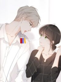 Ảnh bìa của Cưới Lần Nữa Có Được Không