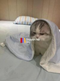 Ảnh bìa của Ai Đang Nhắn Tin