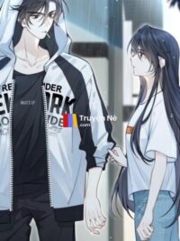 Ảnh bìa của Sự Thật Nơi Con Tim