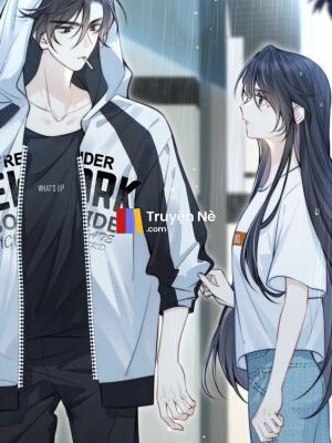 Ảnh bìa của Sự Thật Nơi Con Tim