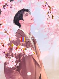 Ảnh bìa của Cuộc Chiến Trên Sân Khấu Tạp Kỹ