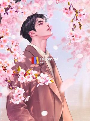 Ảnh bìa của Cuộc Chiến Trên Sân Khấu Tạp Kỹ