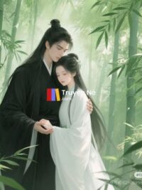 Ảnh bìa của Cuộc Đời Nha Hoàn Giả Mạo