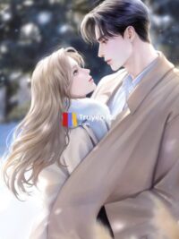 Ảnh bìa của Suất Chuyển Chính Thức Và Những Nỗi Đau