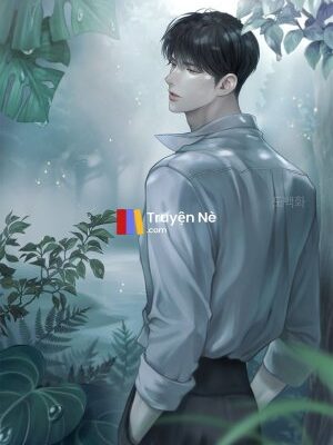 Ảnh bìa của Bóng Đen Của Ánh Sáng