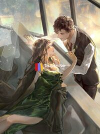 Ảnh bìa của Chiếc Túi Giả Và Bí Mật Đằng Sau