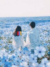 Ảnh bìa của Kẻ Trộm Cuộc Đời